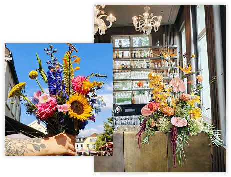 2026 10 collage abonnement
