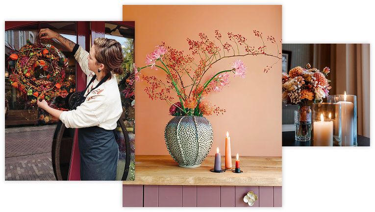 2026 10 COLLAGE HOME